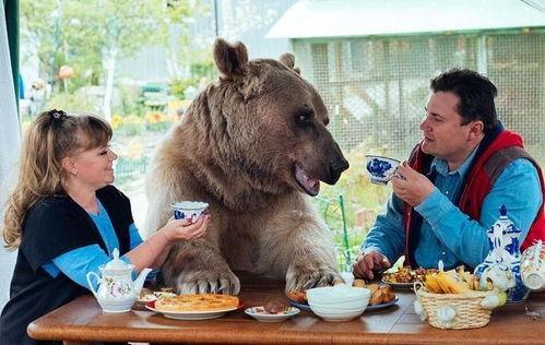 网红熊吃瓜视频原版免费观看,免费原版内容，带你领略趣味瞬间